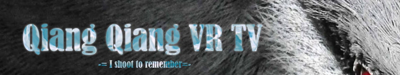 studio name