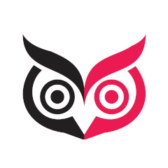 Immersive Show