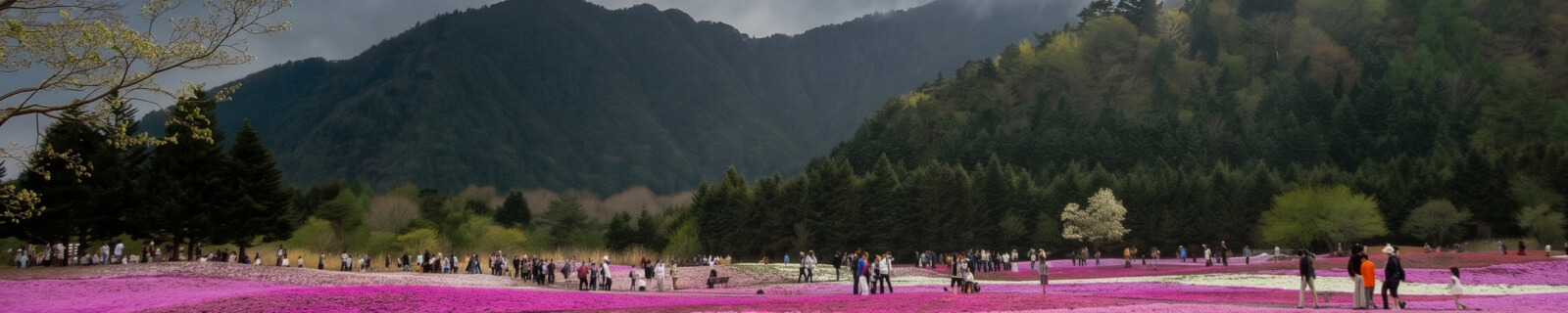 studio name