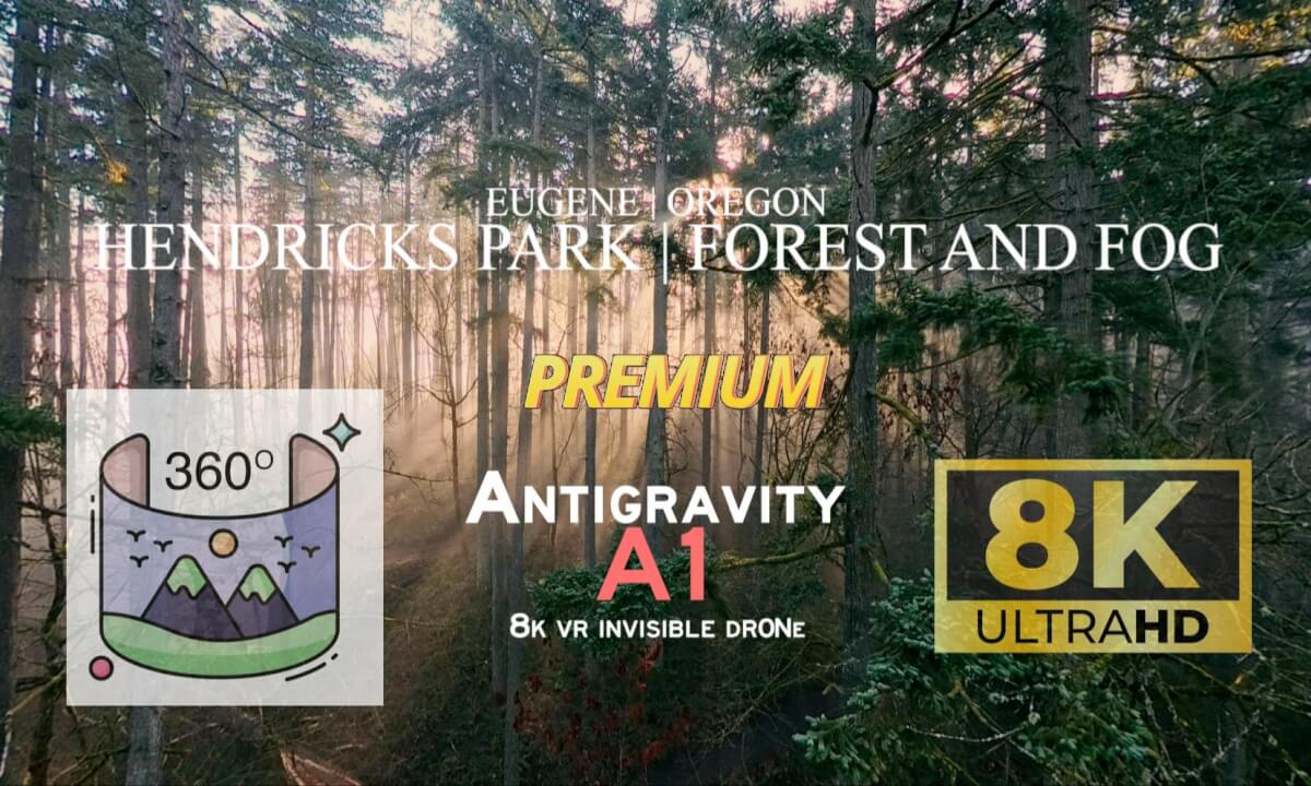 Hendricks Park Forest in the Fog | Antigravity A1 Invisible Drone (Premium) cover