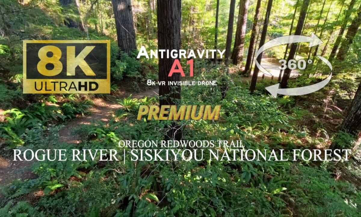 Through the Oregon Redwoods | A Quiet Winter Flight | Antigravity A1 Invisible Drone (Premium) cover