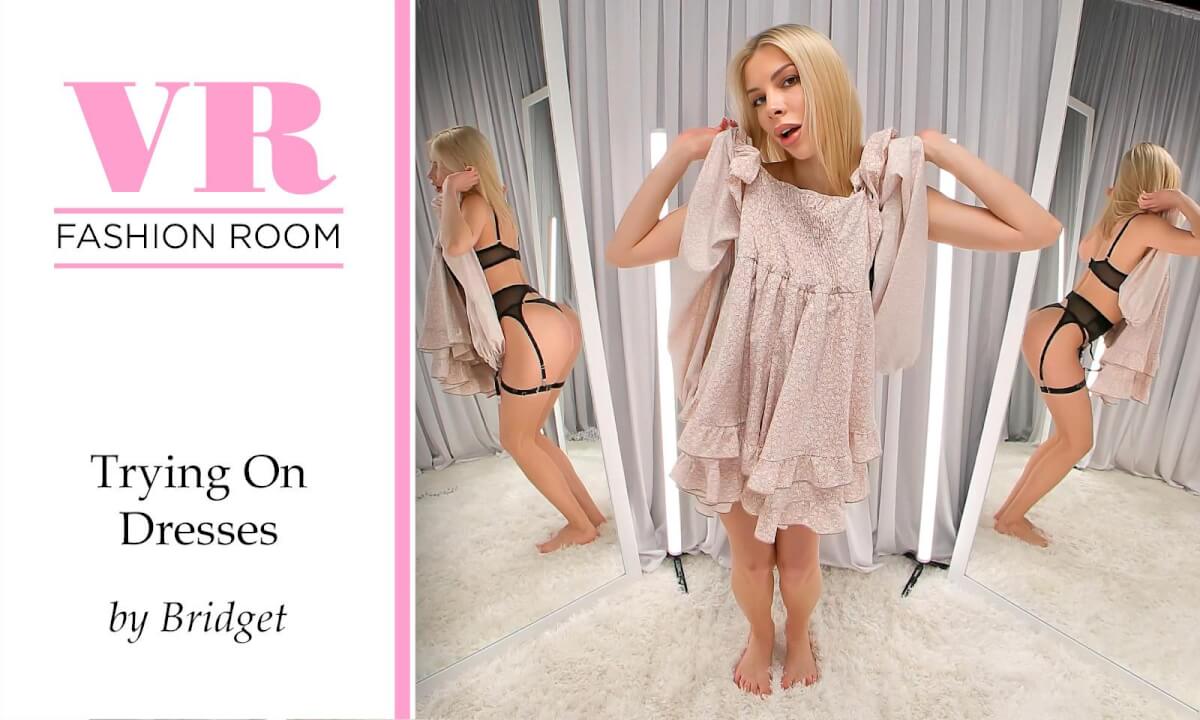 Trying on Dresses by Bridget cover