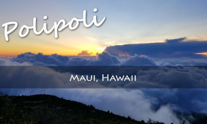 Sunset at Maui's Polipoli Spring VR Video Sunset at Maui's Polipoli Spring VR
