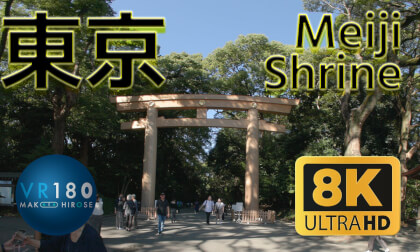 Meiji Shrine (Meiji Jingu) walking , 明治神宮 東京 -Travel JAPAN- VR Video Meiji Shrine (Meiji Jingu) walking , 明治神宮 東京 -Travel JAPAN- VR
