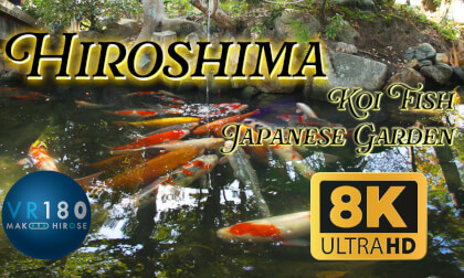 Japanese garden and Koi Fish, Hiroshima, Japan  錦鯉 広島 日本庭園 -Travel Japan- 8K VR180 CANON Eos R5C VR Video Japanese garden and Koi Fish, Hiroshima, Japan  錦鯉 広島 日本庭園 -Travel Japan- 8K VR180 CANON Eos R5C VR