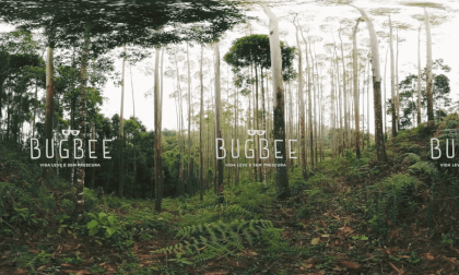Bugbee Vida leve e sem frescura VR Video Bugbee Vida leve e sem frescura VR
