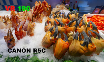 Mercado de La Boqueria, Barcelona, España VR Video Mercado de La Boqueria, Barcelona, España VR