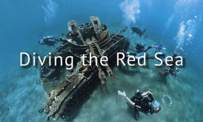 Diving the Red Sea VR Video Diving the Red Sea VR