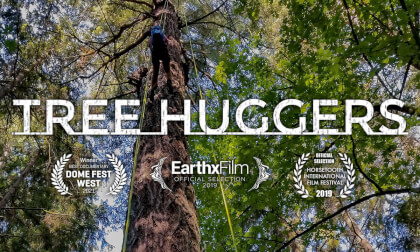 Tree Huggers VR Video Tree Huggers VR