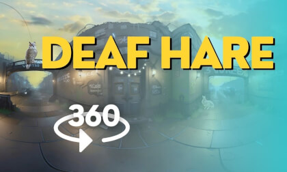 360 VR 4K Video - Deaf Hare Atmospheric Scene 360 VR 4K Video - Deaf Hare Atmospheric Scene