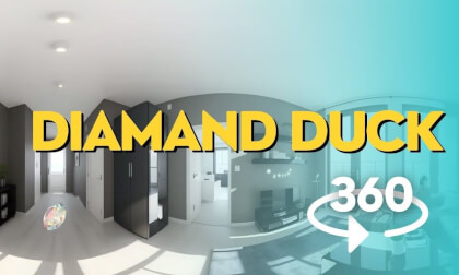 360 VR 4K Video - Diamand Duck Atmospheric Scene VR Video 360 VR 4K Video - Diamand Duck Atmospheric Scene VR