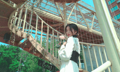 A Girl on the Ladder A Girl on the Ladder