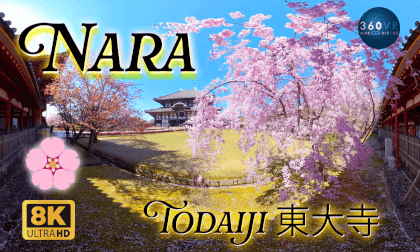 東大寺 Todaiji temple, Nara, Japan, Sakura Cherry Blossoms  -Travel Japan- VR Video 東大寺 Todaiji temple, Nara, Japan, Sakura Cherry Blossoms  -Travel Japan- VR