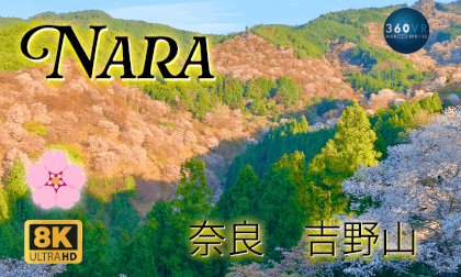 Cherry Blossoms of Yoshino-yama, 吉野山の桜 Mt.Yoshino,Nara -Travel JAPAN- Cherry Blossoms of Yoshino-yama, 吉野山の桜 Mt.Yoshino,Nara -Travel JAPAN-