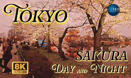 “Yozakura” Cherry Blossoms of Tokyo Ueno park, 上野公園のサクラ桜  -Travel JAPAN- VR Video “Yozakura” Cherry Blossoms of Tokyo Ueno park, 上野公園のサクラ桜  -Travel JAPAN- VR