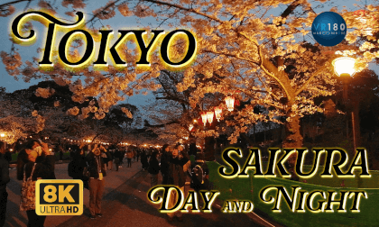 8K60P “Yozakura” Cherry Blossoms of Tokyo Ueno park, 上野公園のサクラ桜  -Travel JAPAN- VR Video 8K60P “Yozakura” Cherry Blossoms of Tokyo Ueno park, 上野公園のサクラ桜  -Travel JAPAN- VR