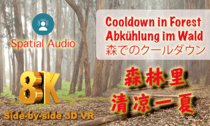 Spatial ASMR: Cooldown in Forest with breeze and Bird Chirp 在森林里清凉一夏 Ambisonic sound 8K 3D VR Video Spatial ASMR: Cooldown in Forest with breeze and Bird Chirp 在森林里清凉一夏 Ambisonic sound 8K 3D VR