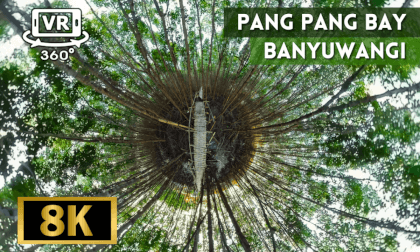 Pangpang Bay, Banyuwangi, Indonesia Pangpang Bay, Banyuwangi, Indonesia