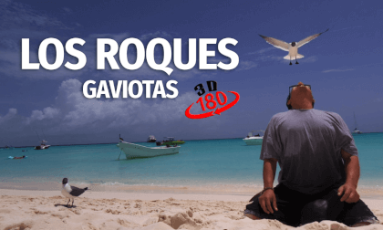 Gaviotas me muerden el labio en Los Roques, Venezuela en 3D VR180° Gaviotas me muerden el labio en Los Roques, Venezuela en 3D VR180°