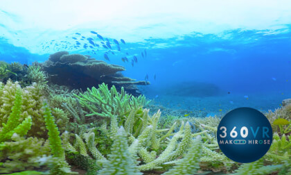 Underwater 360VR at Okinawa, Japan -Travel JAPAN- VR Video Underwater 360VR at Okinawa, Japan -Travel JAPAN- VR