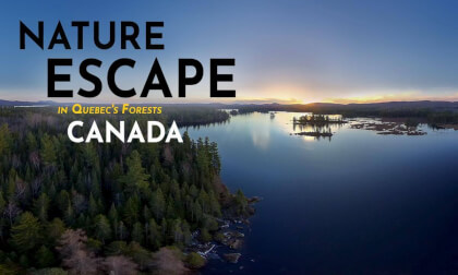 Nature Escape in Quebec'S Forests - Canada VR Video Nature Escape in Quebec'S Forests - Canada VR