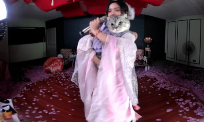 狸妖妖20241121001 cat 猫 3D VR 180 8K VR Video 狸妖妖20241121001 cat 猫 3D VR 180 8K VR