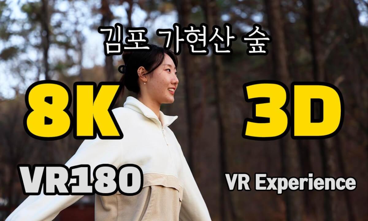 [VR Experience] Forest walk in Gahyeon Mountain, Gimpo, South Korea 가현산 숲 산책 cover