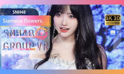 【VR8k 180】SNH48|Siamese flowers VR Video 【VR8k 180】SNH48|Siamese flowers VR