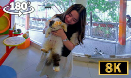 Mini Zoo Date | VR Girlfriend Ep.6 VR Video Mini Zoo Date | VR Girlfriend Ep.6 VR