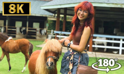 Dating a Red-Haired Asian Girl in the Village | VR Girlfriend Ep.8 VR Video Dating a Red-Haired Asian Girl in the Village | VR Girlfriend Ep.8 VR