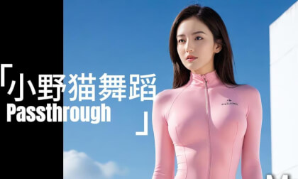 谁家养的小野猫舞 谁家养的小野猫舞