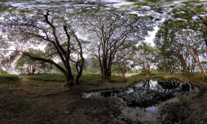 A small water hole in Upo wetland A small water hole in Upo wetland
