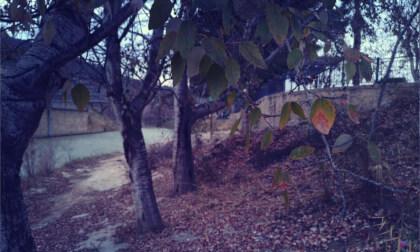 VR180 8K video Rio Segura,  Cieza (Murcia) VR Video VR180 8K video Rio Segura,  Cieza (Murcia) VR