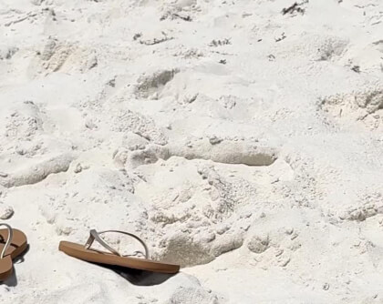 IMG_5122 VR Video IMG_5122 VR