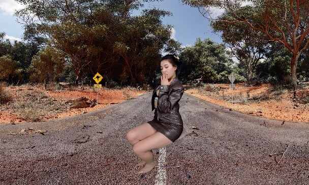 “Is This Too Alluring for the Road? ” cover
