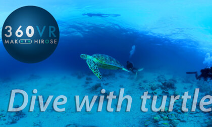Dive with Turtle -Travel JAPAN- Dive with Turtle -Travel JAPAN-