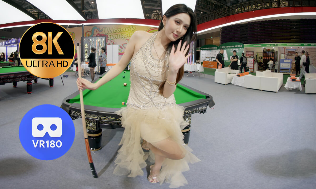 The girl in the golden dress cover