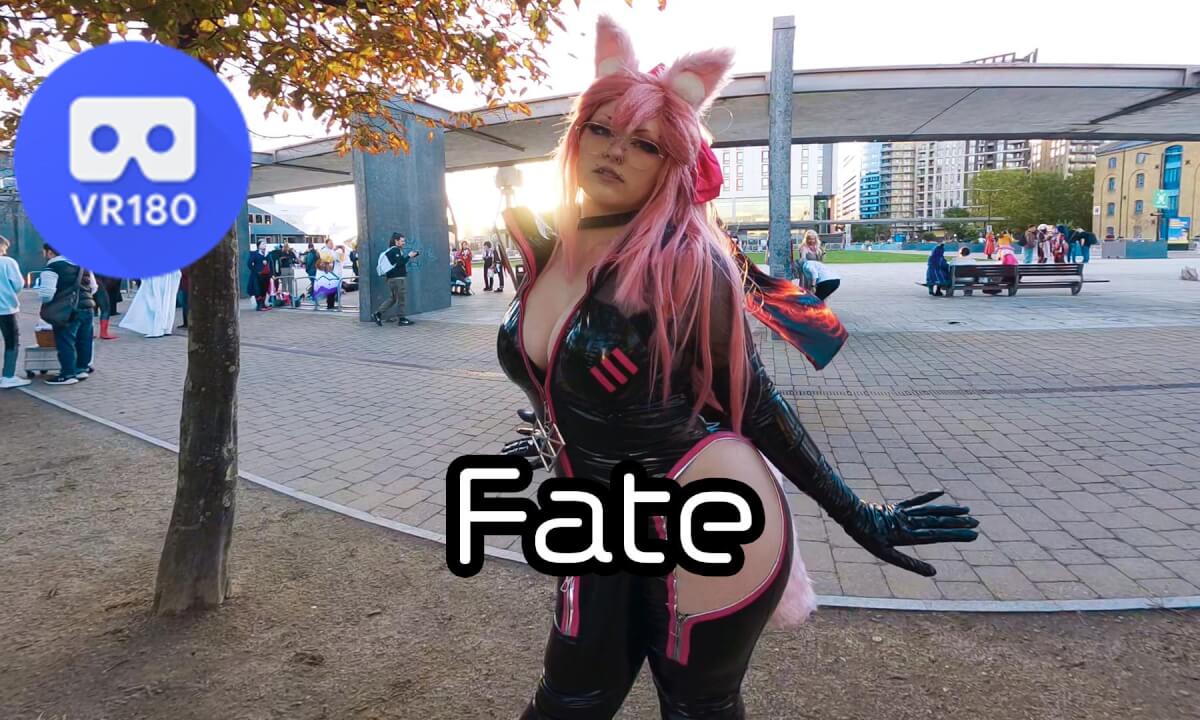 Fate Cosplayers cover