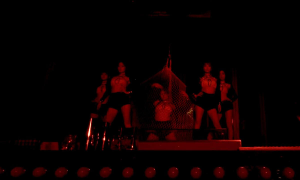 Cat's eye DATA cover