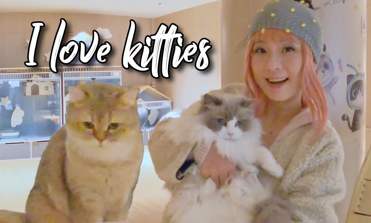 Come quickly! What an adorable cat — who's cuter, me or it? cover